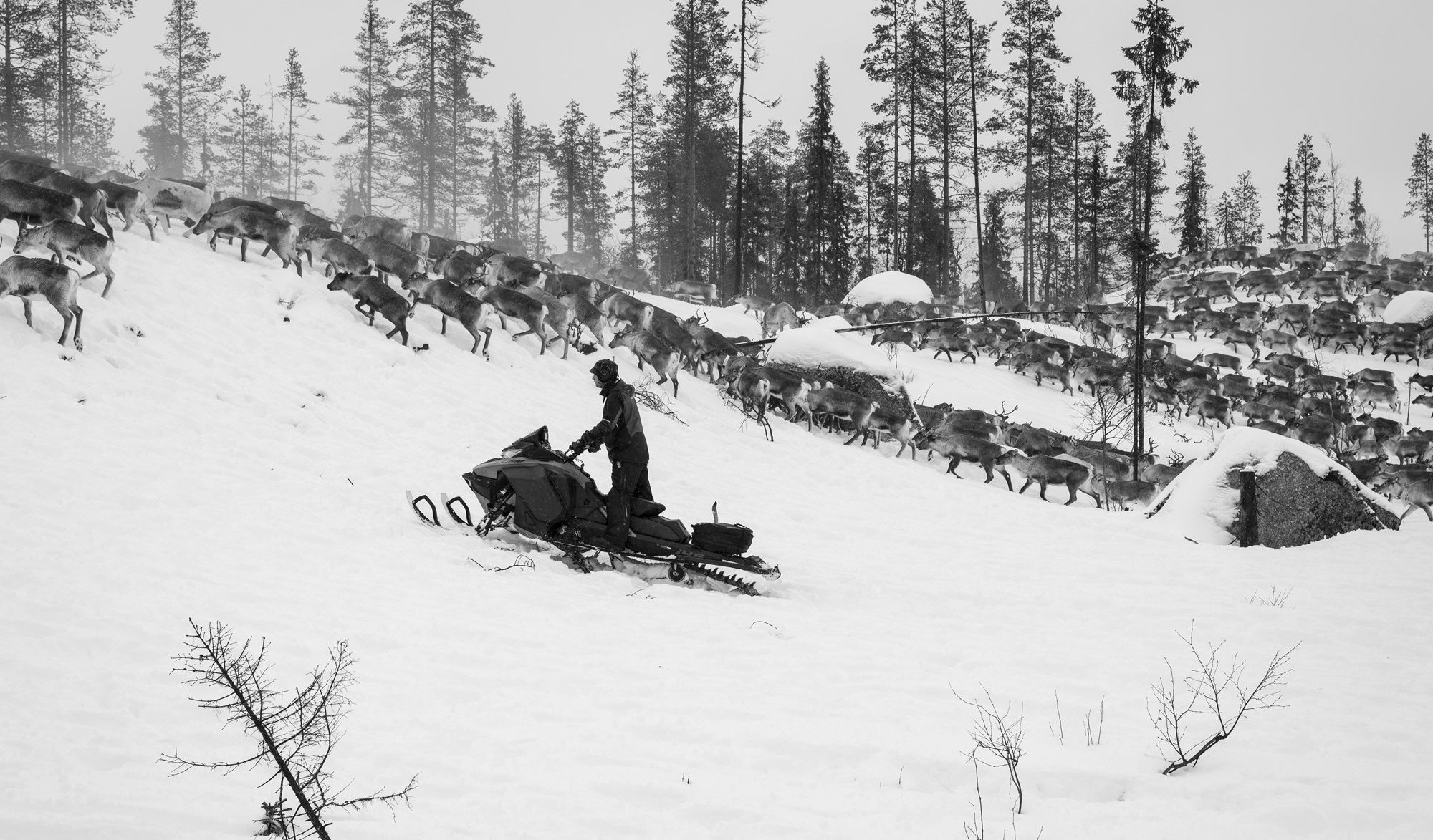 Lunchvisning av utställningen Kolonin