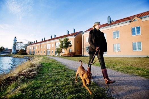 En person som är ute och går med hunden med hus och fyren i bakgrunden