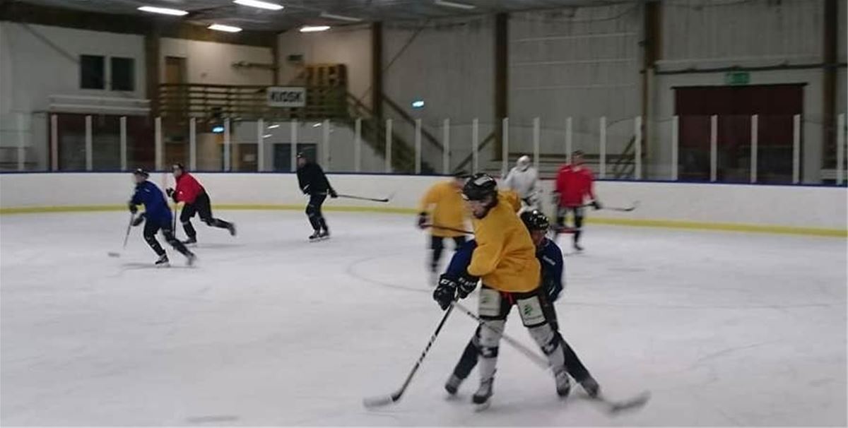 Skridskoåkning image 1