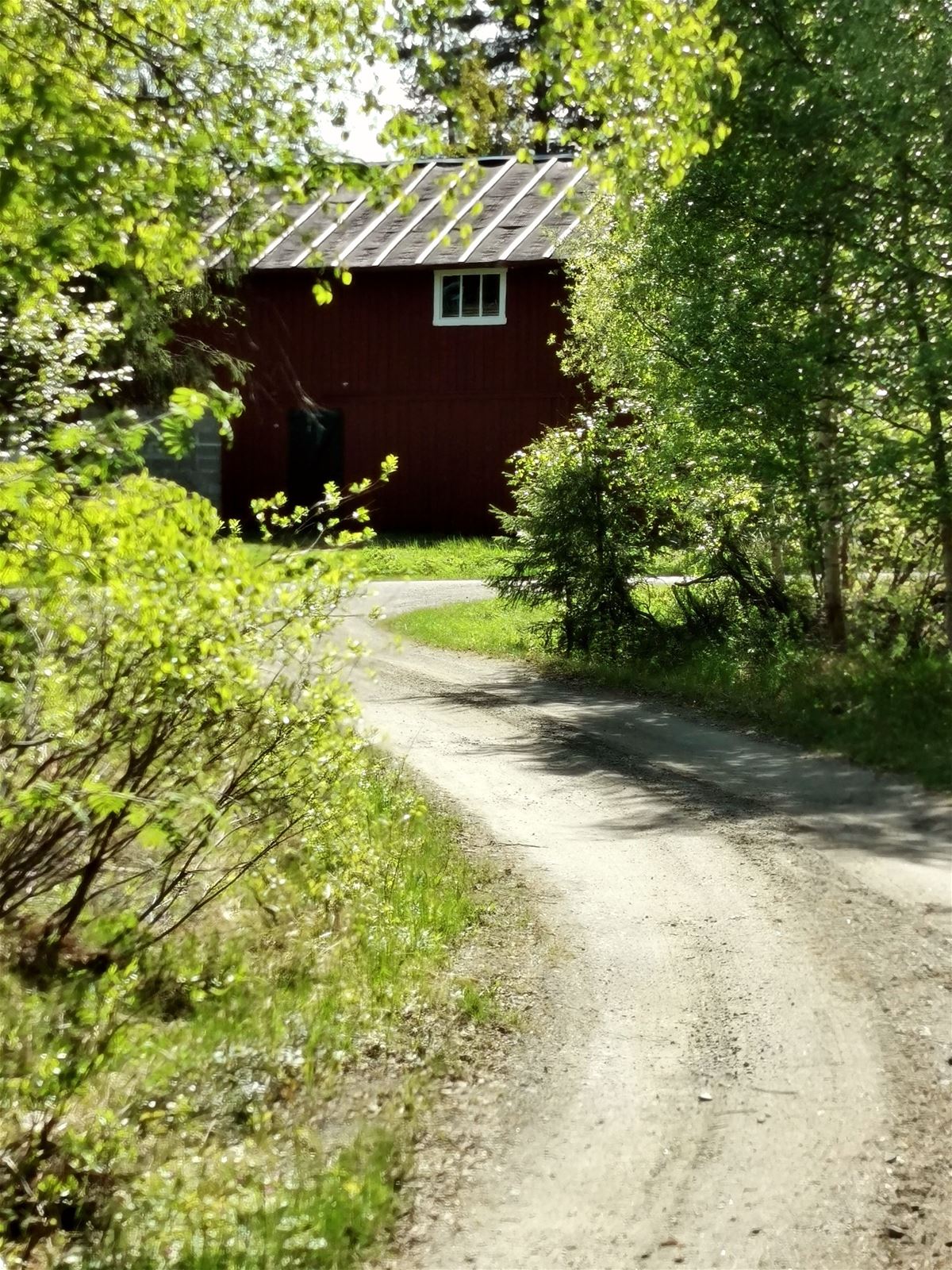 Hiking in Aspliden image 1