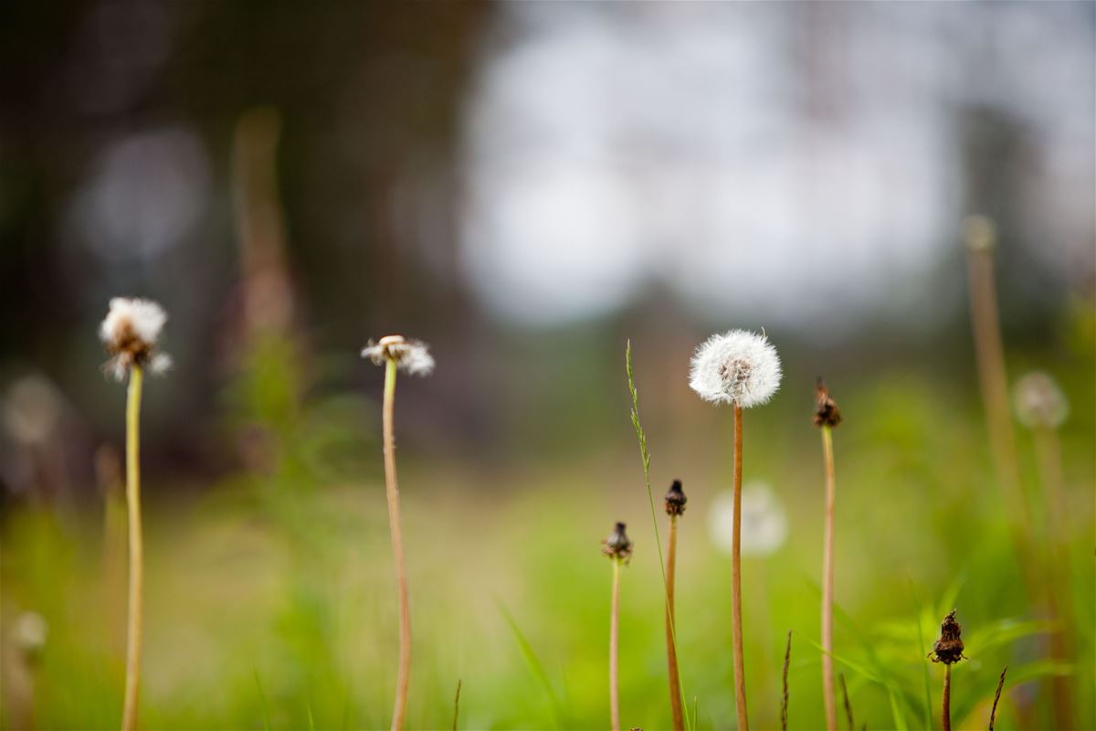 Stora Skeppträsket Loop – Cycling Route image 1