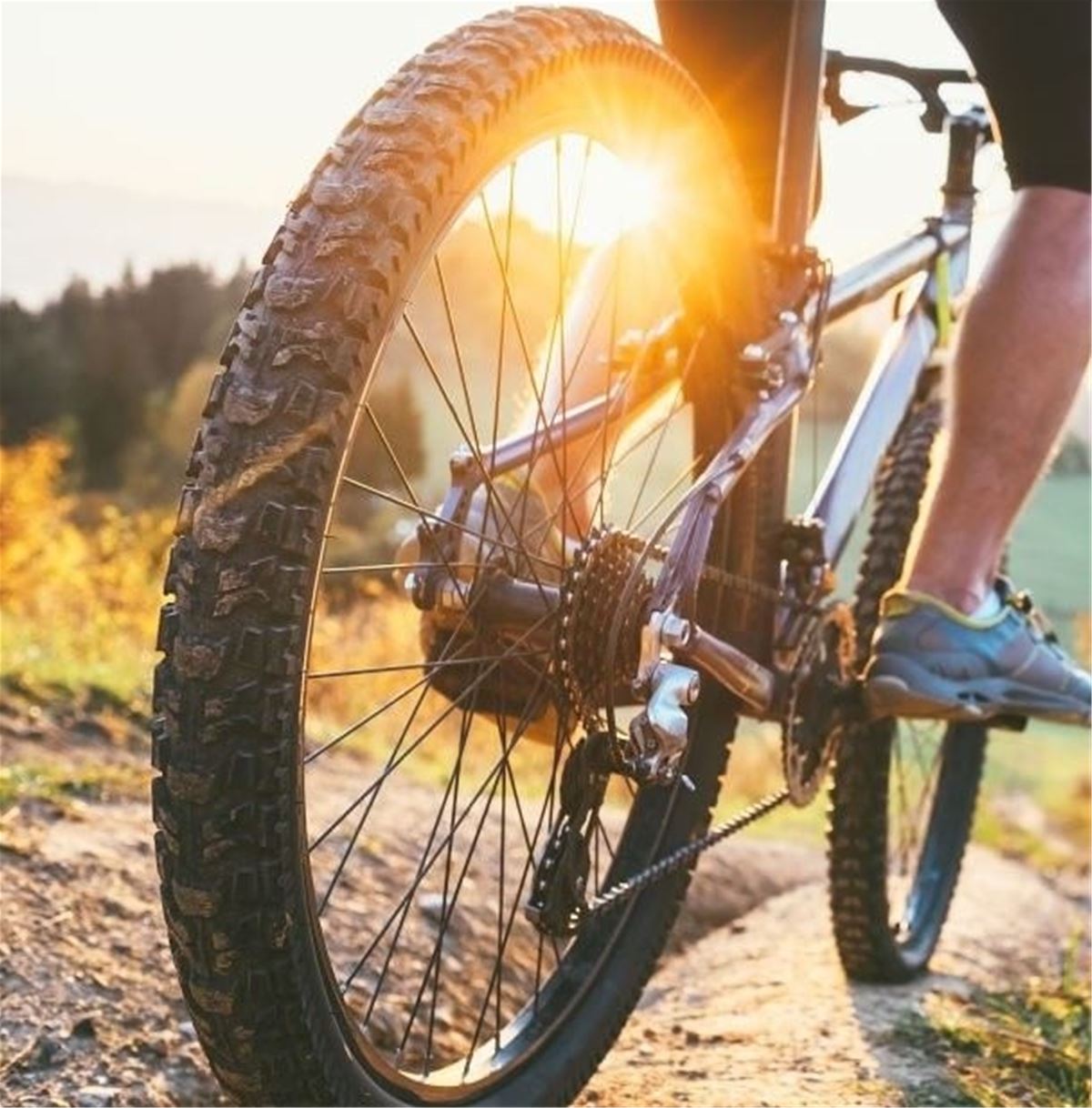 Cykelstigen Almbo - Brännäs image 1