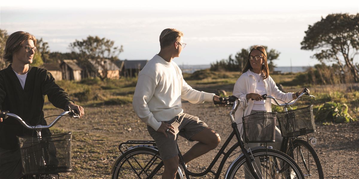 Gotlands Cykeluthyrning image 1