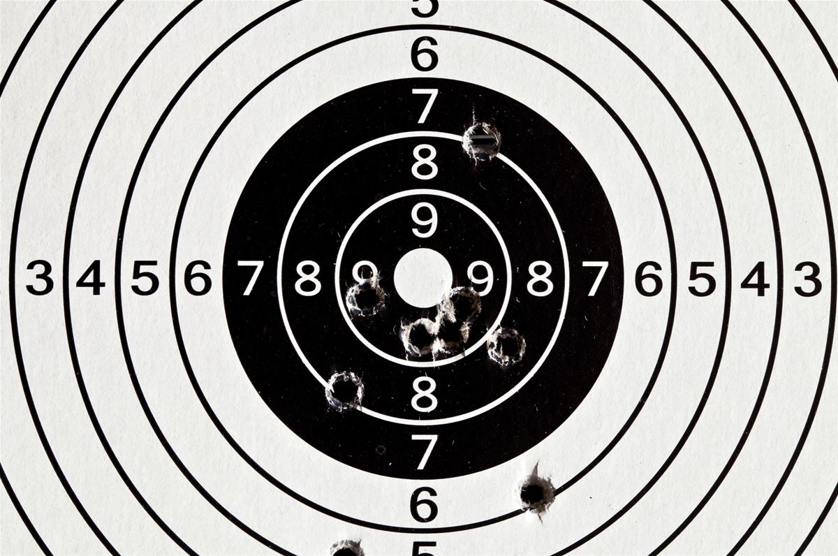 Luftgevärsskytte Älmeboda image 1