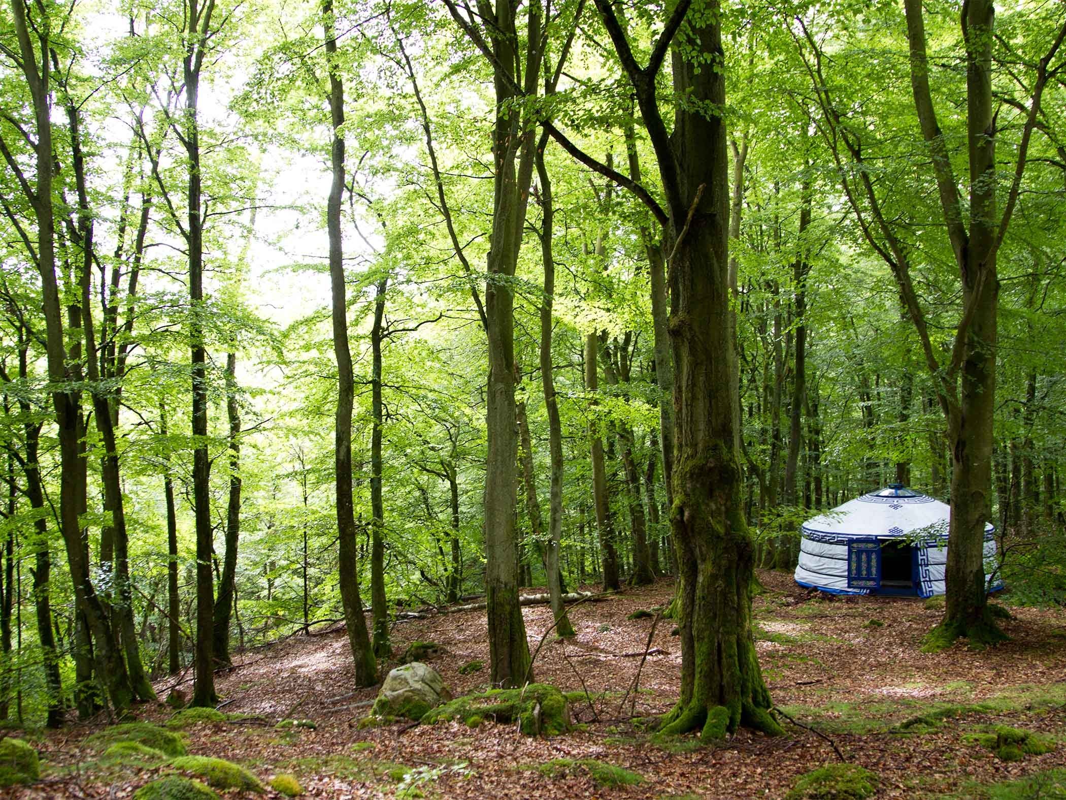 STF Nyrups Naturhotell