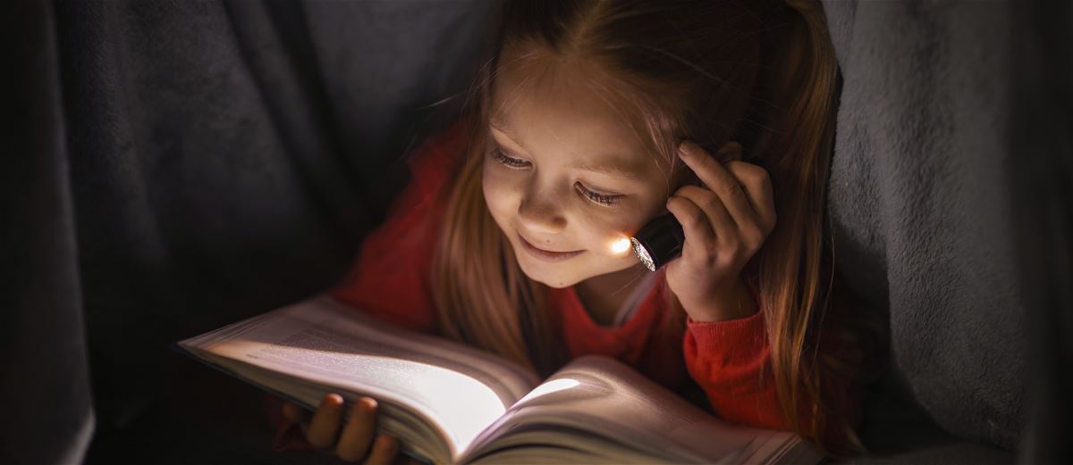 Vad händer på bibblan när det är stängt? image 1