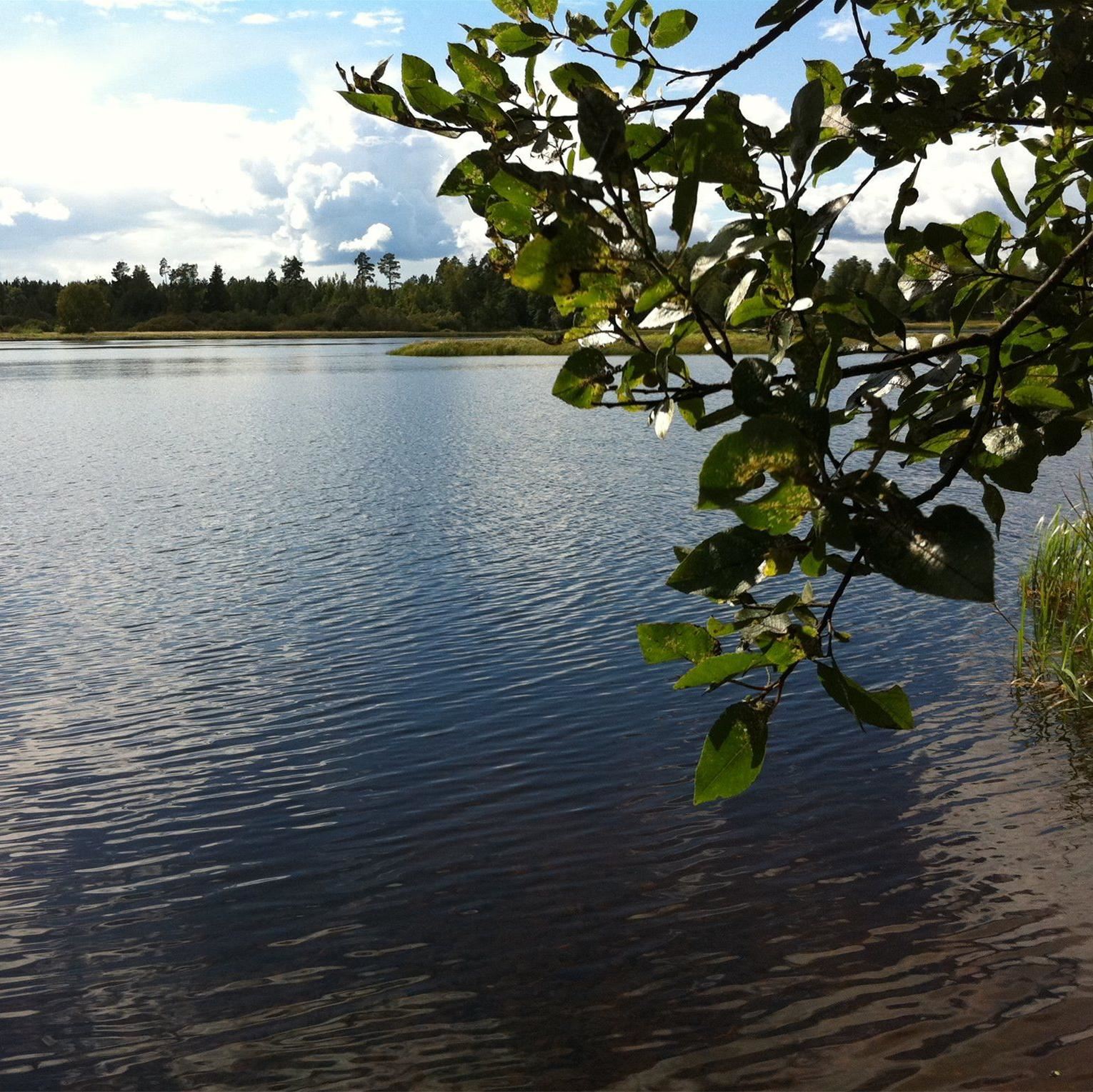 Biosfärområde i Nedre Dalälven