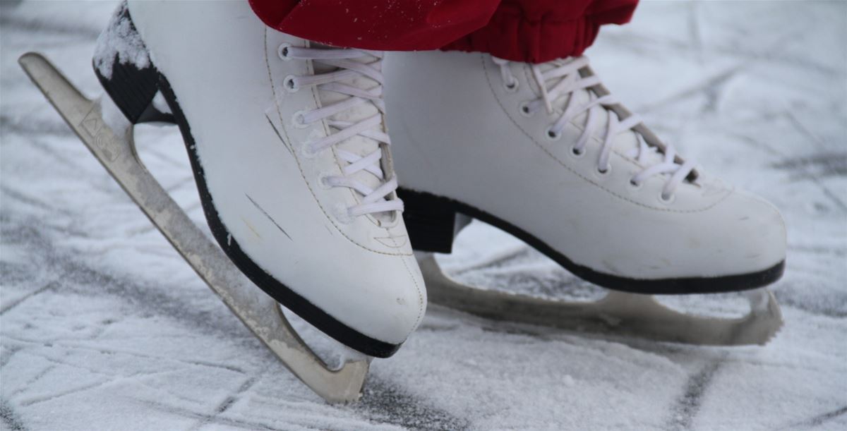 Allmänhetens åkning image 1