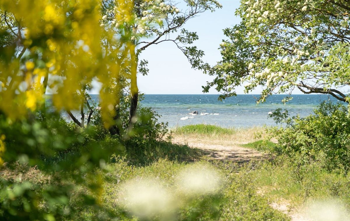 Camping-Pakete image 1