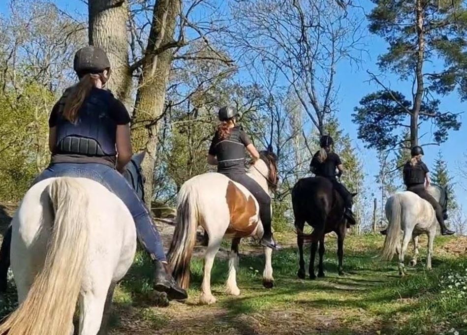 Ridning för nybörjare