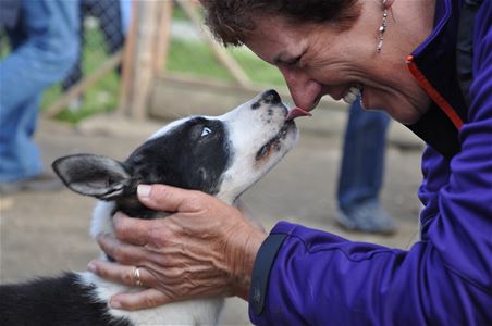 A dog cuddling with a woman