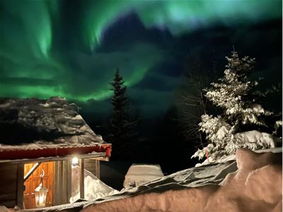 Hytte og nordlys