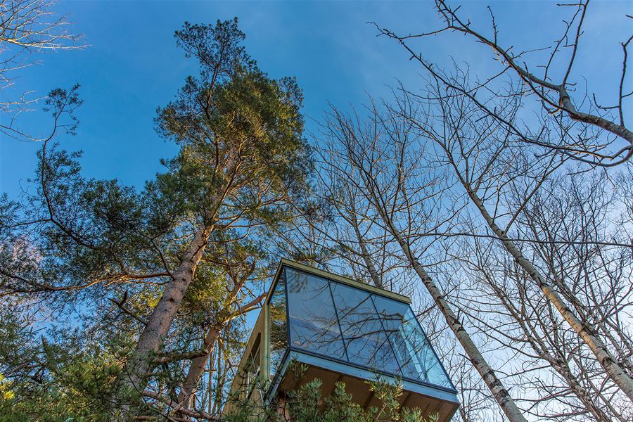 Lågvinkla bilete av ei moderne glasbygning i skogen, omgitt av høge tre og blå, klar himmel..