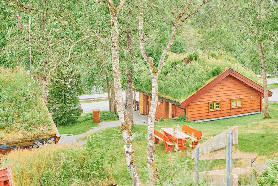 Sommarleg tun med raud trehytte med gras på taket, bjørketrær, grønt gras og benkebord ved sidan av..