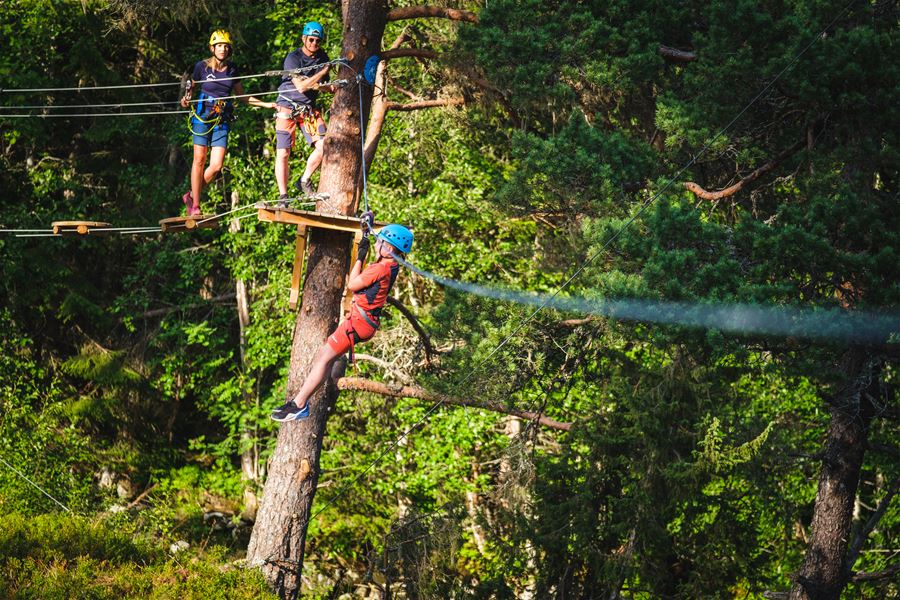 Tre personar med hjelm og sele i ein tretoppløype, ein klatrar ved ein stamme medan andre står på plattform i skogen..
