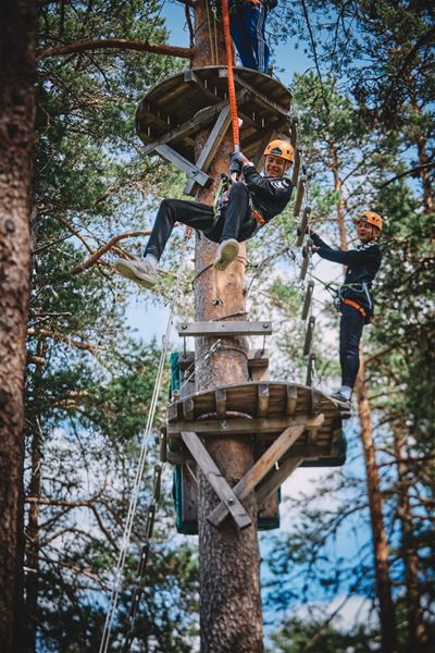 To personar i klatrepark mellom furutre, med hjelm og sele, på plattformer og taubru høgt oppe..