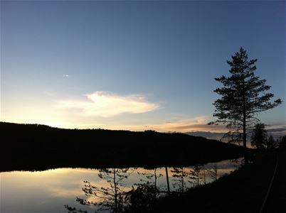 Solnedgång vid sjö.