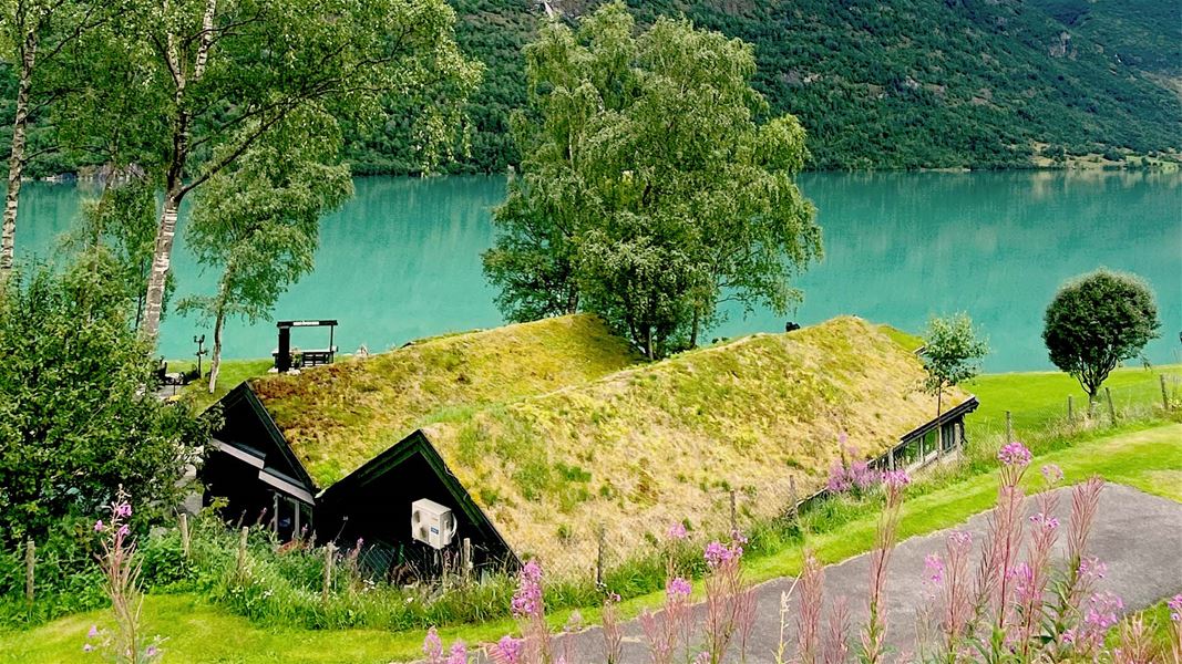 Two dark cottages with grass roofs sit on a hillside above a turquoise Oldedalen lake, framed by trees and pink wildflowers at Yrineset in Olden..