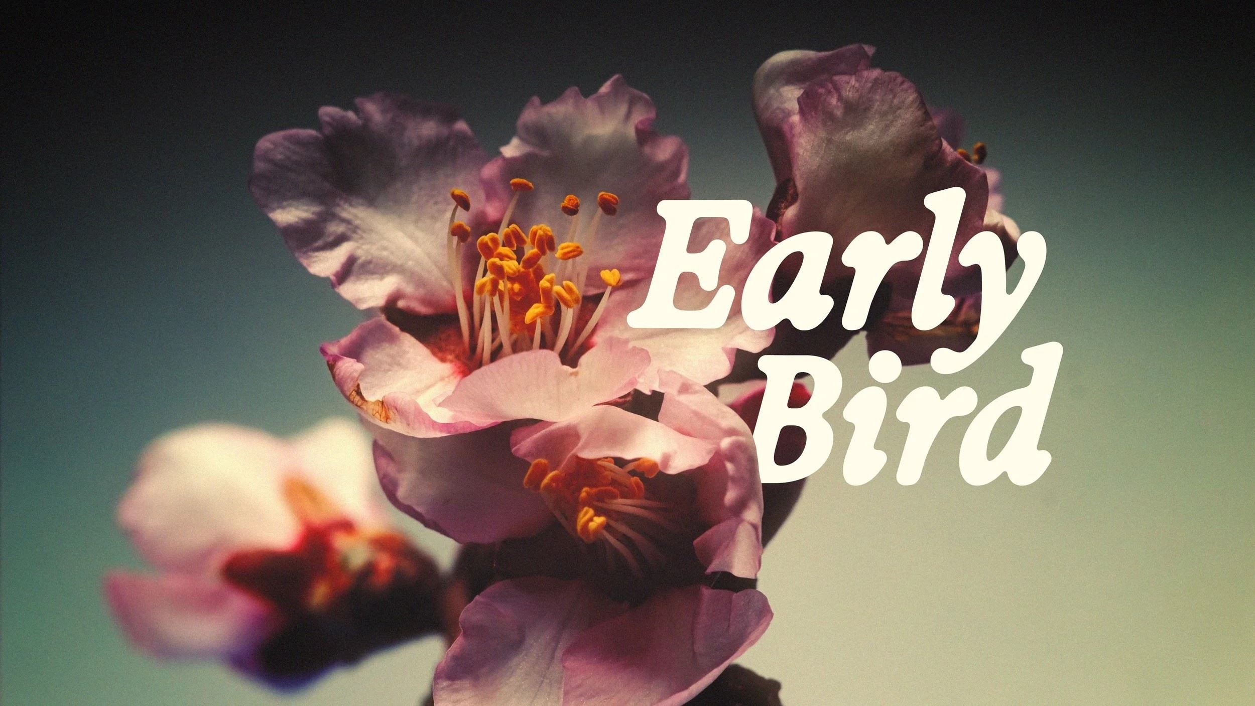 Brådjupa Dansfestival