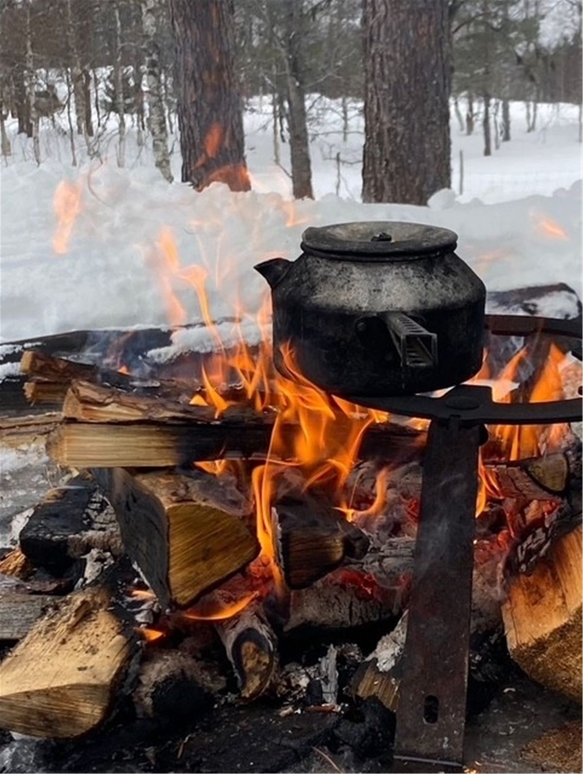 SKOTERCAFÉ I SLÄPPTRÄSK image 1