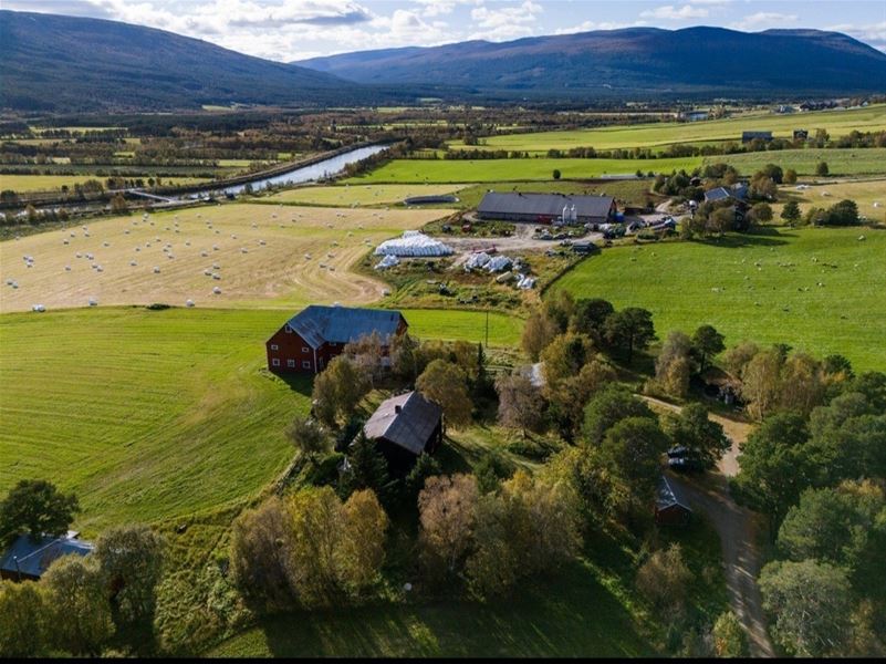 Luftfoto av et gårdstun omgitt av grønne jorder og skog, med fjell og blå himmel i bakgrunnen.