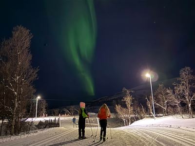 Skiing trip under the northern lights