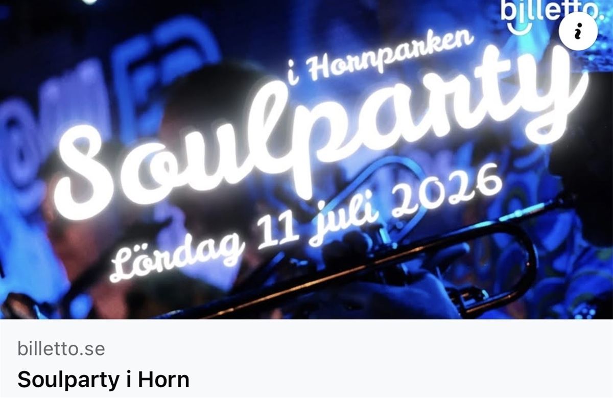 Soulparty i Hornparken image 1