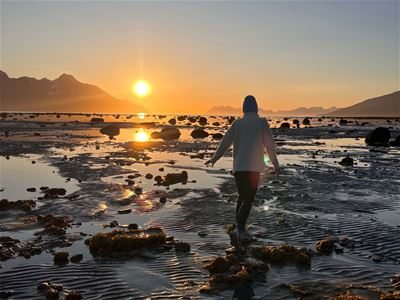 Gjest går på stranda med midnattsolen i horisonten