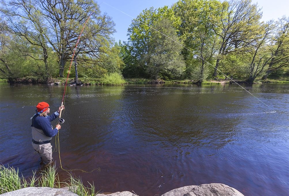 Fiskepremiär i Mörrum