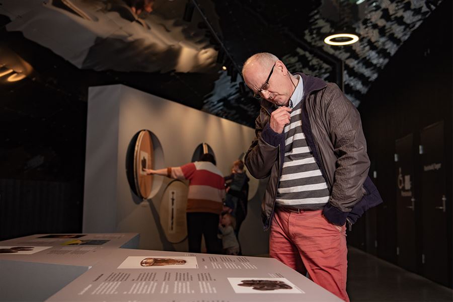 A visitor reading and learning about Viking history at Sagastad.