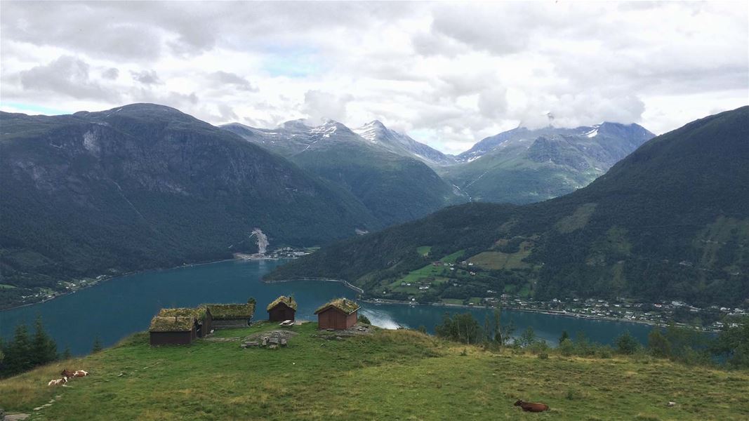 Green hillside with small turf-roof cabins above a blue fjord, with forested mountains and cloudy skies beyond, at Skarsteinssætra i Olden.