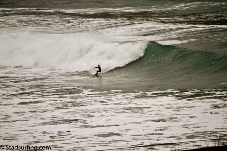 Ein surfar i Ervik på surfebrett køyrer langs ei stor grøn bølgje med kvitt skum i uroleg hav..