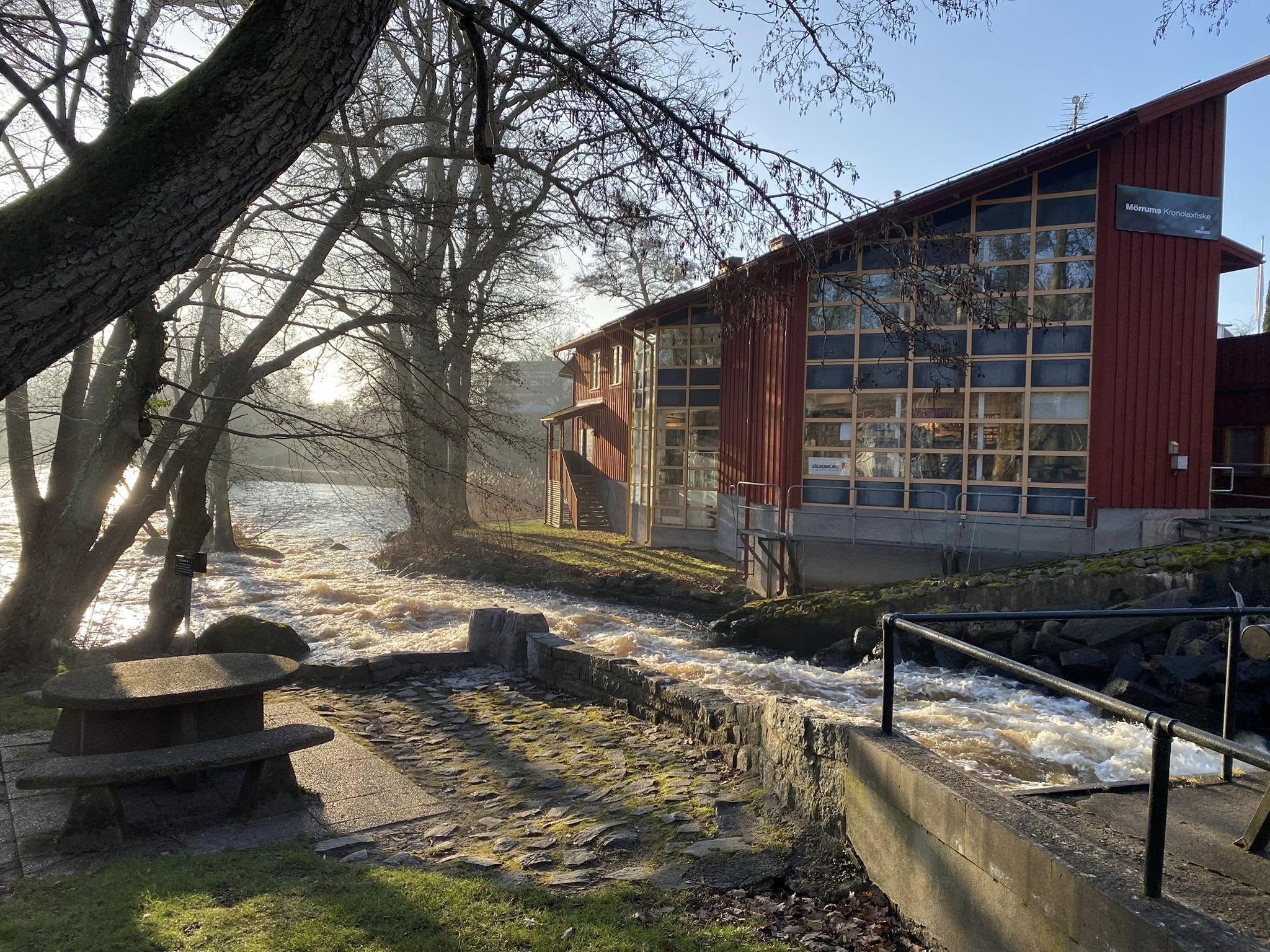 Guidad visning i och runt Laxens Hus under ARK56 ÄlskaVår