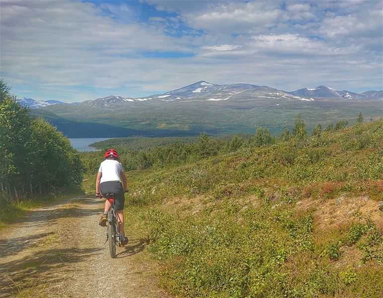 Person cycling on a gravel road in a mountain landscape with a lake and snow‑capped peaks.