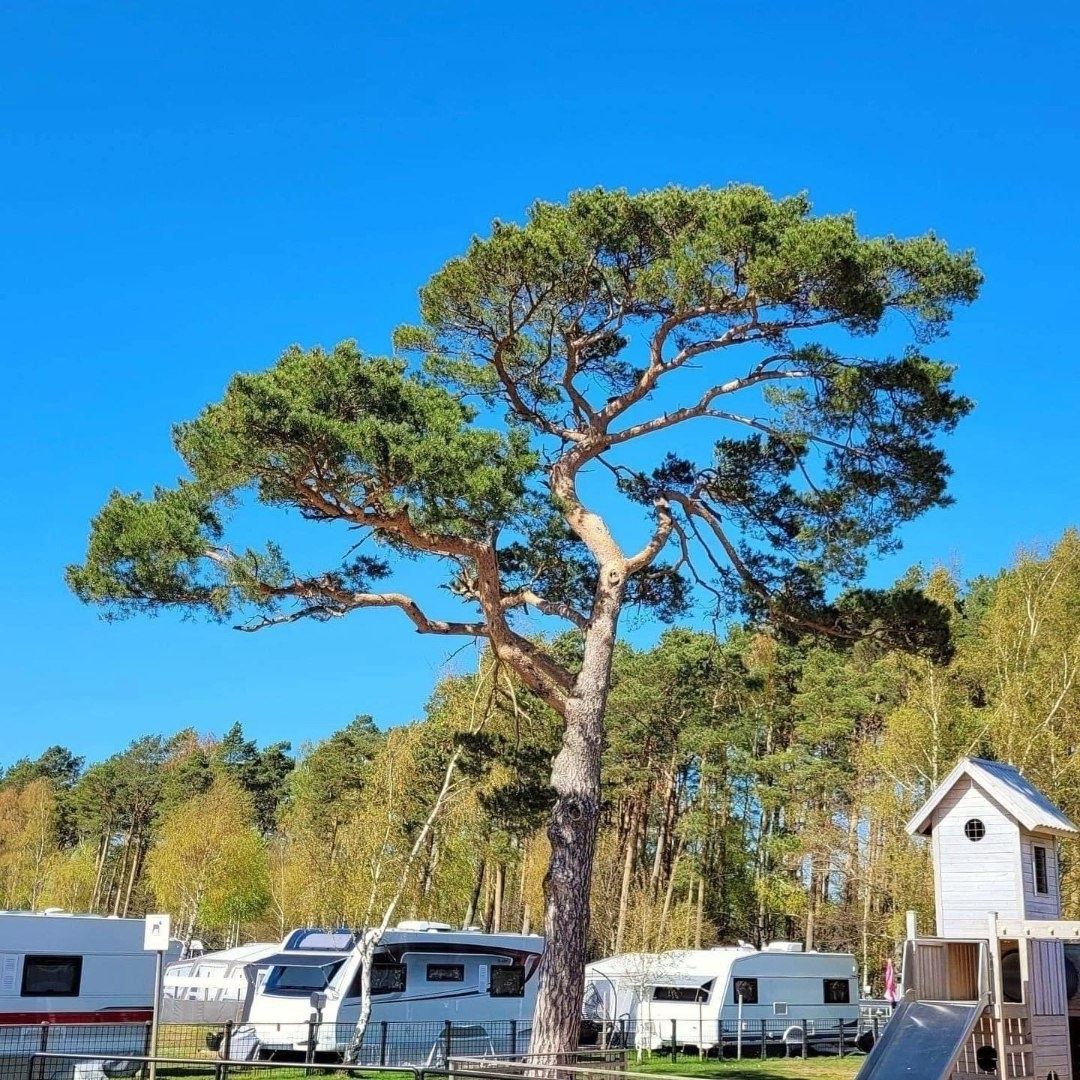 Båstad Camping