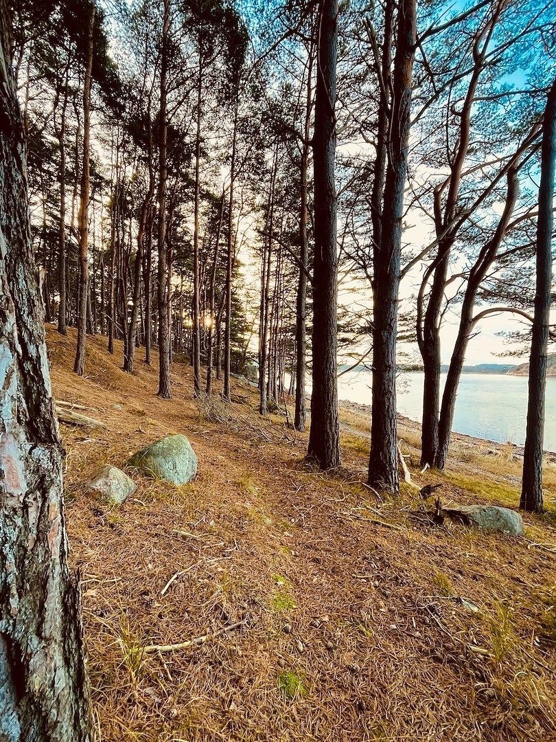 Nature's Haven - ÖVRE PLAN 