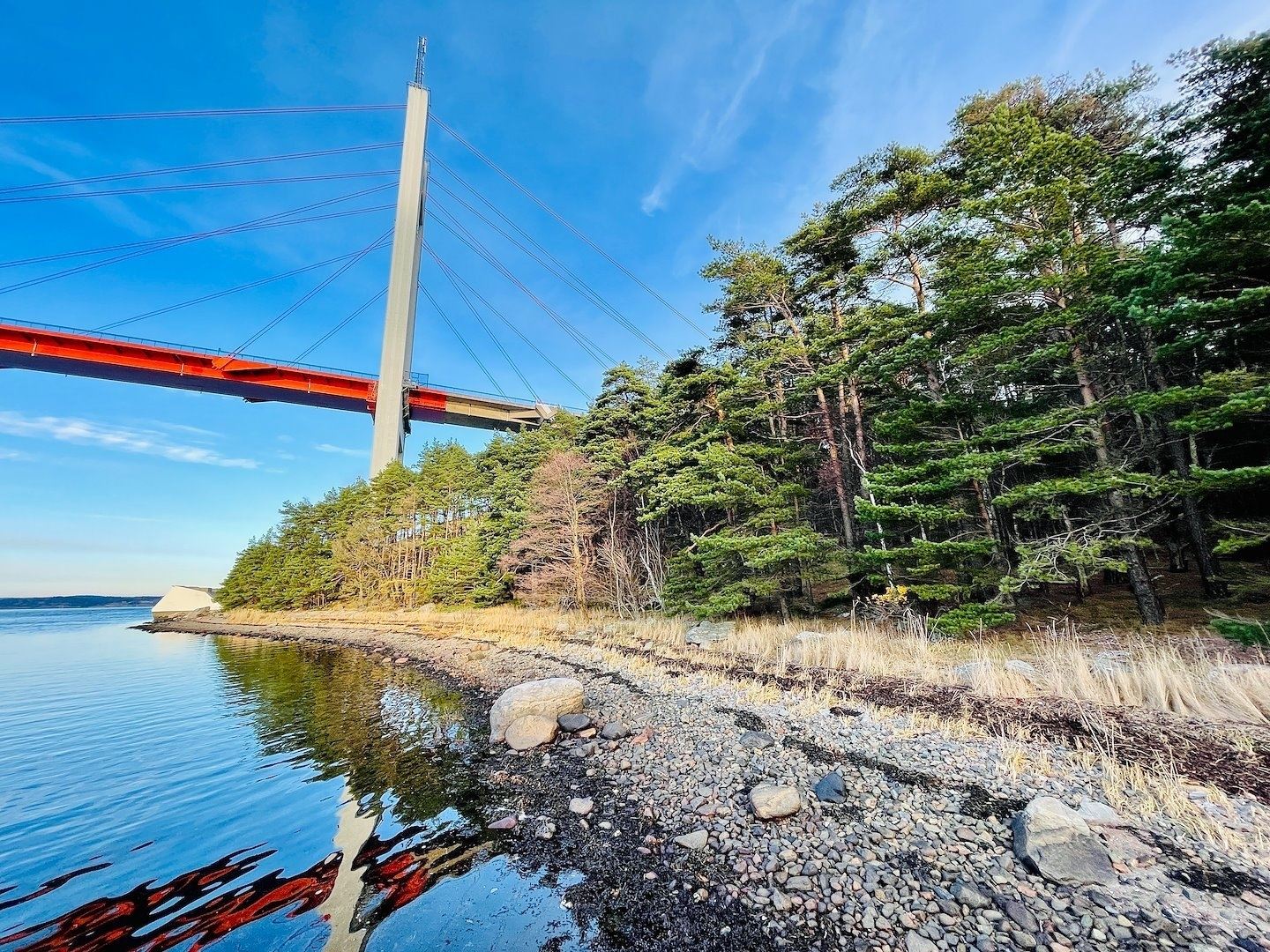 Nature's Haven - MARKPLAN