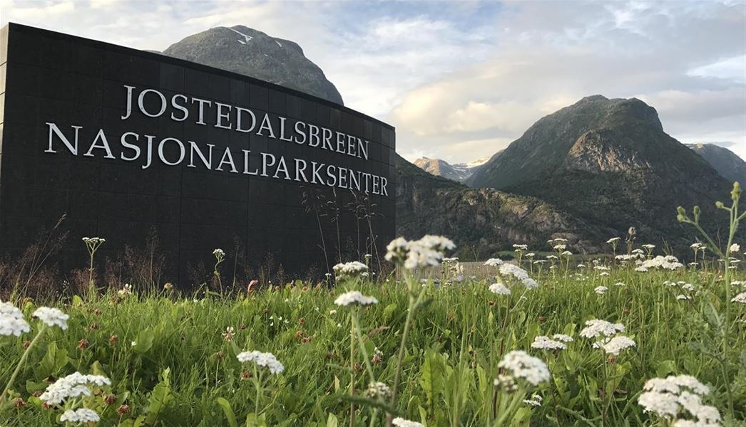 Svart skilt med teksten «Jostedalsbreen nasjonalparksenter» framfor fjell, eng og kvite blomar..
