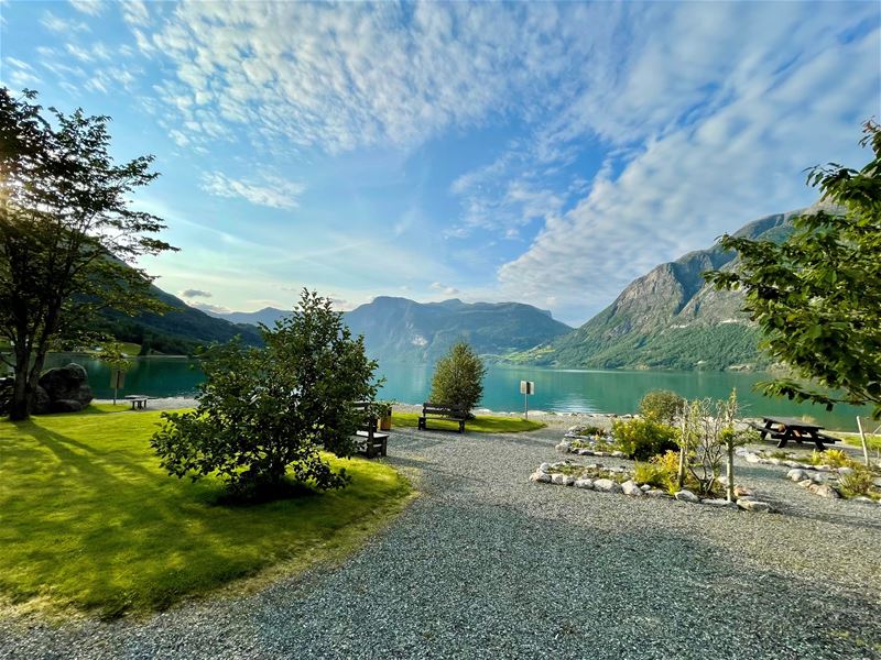 Grønt tun med grussti, benkar og tre ved ein roleg fjord, med bratte fjell og skya blå himmel..