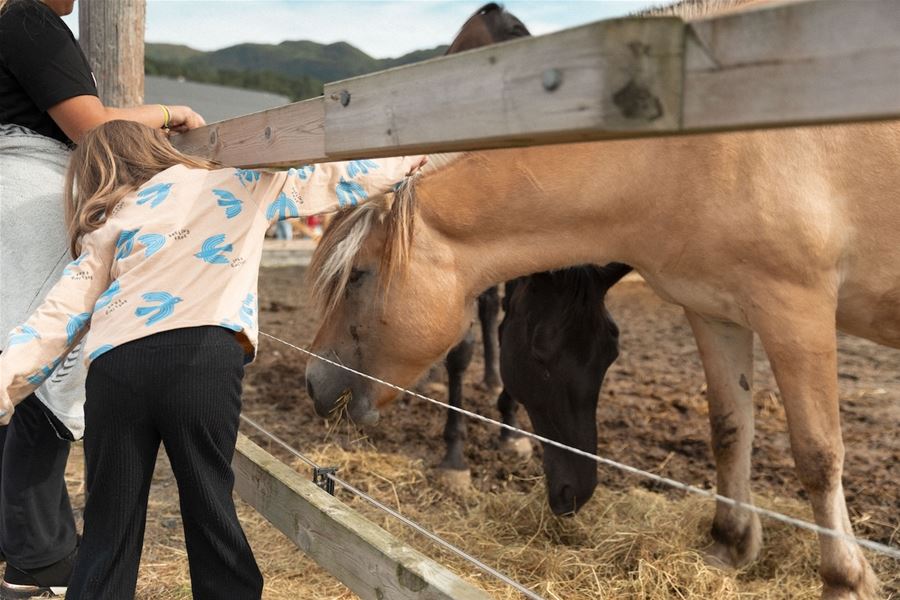 A child leans over a wooden fence to pet a tan horse while another horse eats hay in a muddy pen..