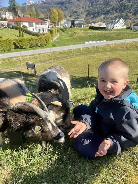 A child sits on grass while two horned goats rest nearby, with farms, a road, and mountains in the distance..