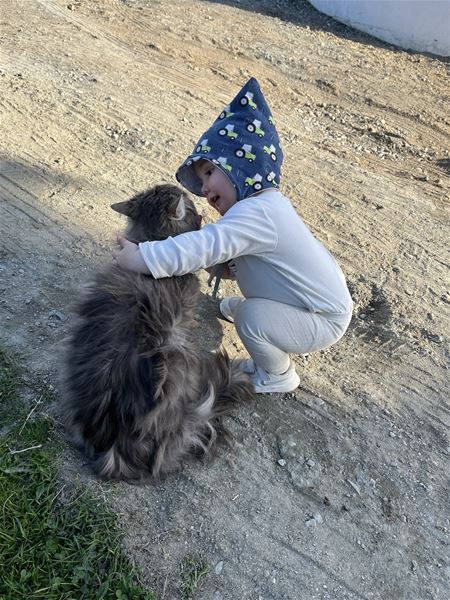 A small child in a patterned hat squats on a dirt path while hugging a large long-haired cat in sunlight..