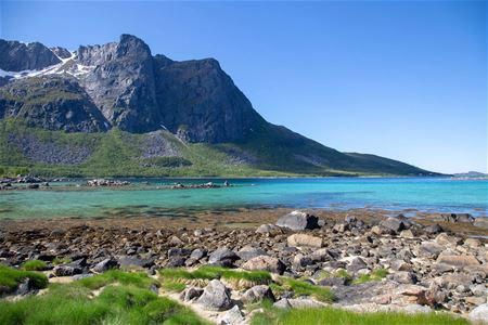 Mountains and shoreline