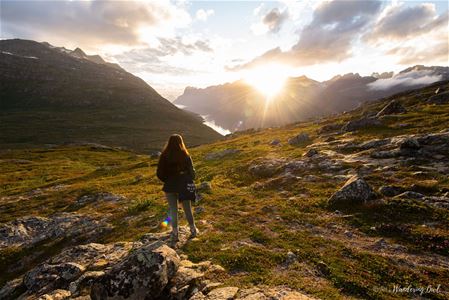 En person som ser på midnattssola