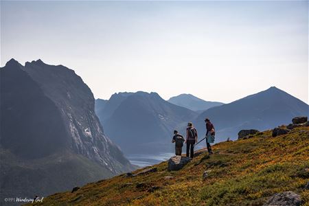A group hiking with mountains in the background