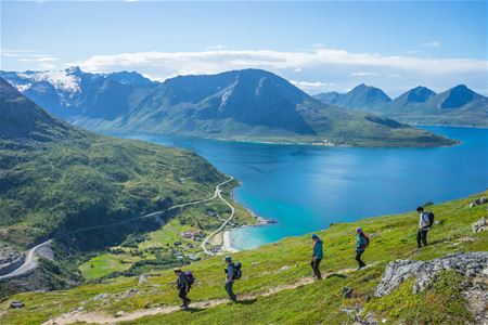 A group hiking with fjords and mountains in the background