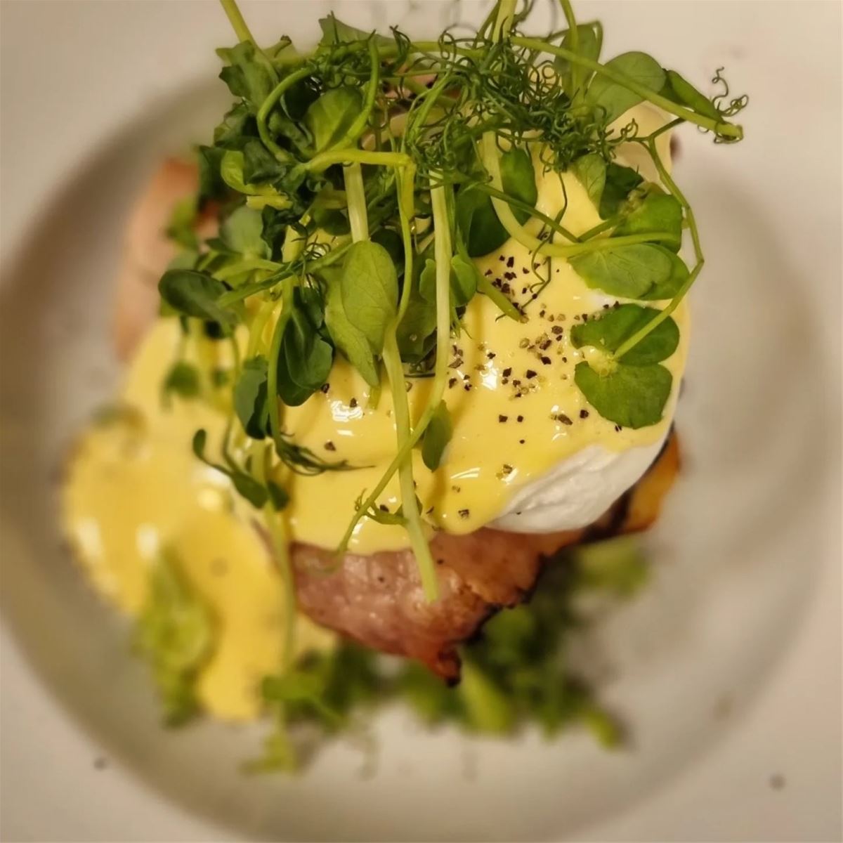 Frunchdags 25/4 image 1