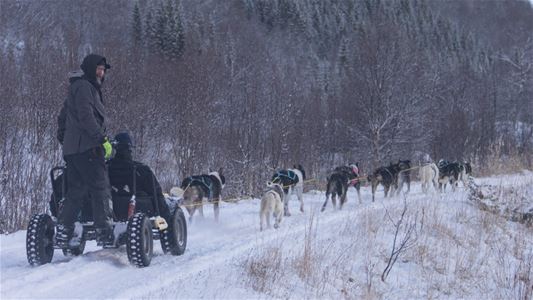 A wagon with two guests and huskies in an Arctic landscape