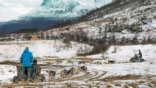A wagon with two guests and huskies in an Arctic landscape