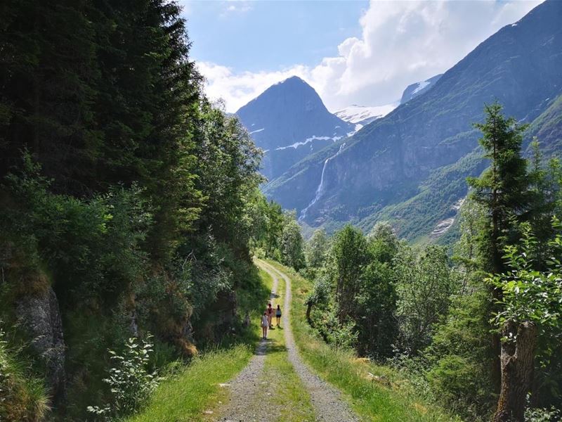 Two hikers walk on a gravel path through green forest, with high mountains and a distant waterfall under clouds in Oldedalen..